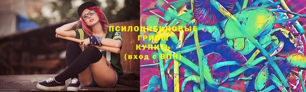 прущие грибы Балахна