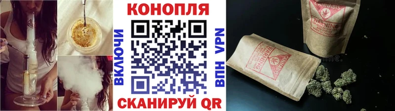 магазин  наркотиков  Пролетарск  Каннабис сатива 